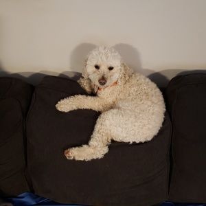 Meet your Posher, Karen